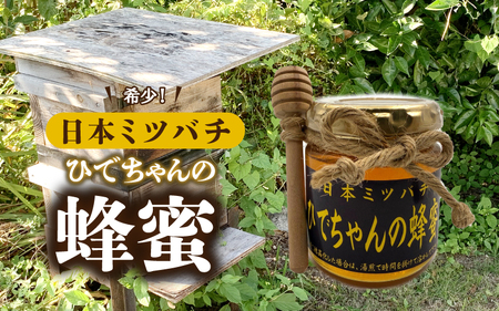 日本ミツバチ ひでちゃんの蜂蜜