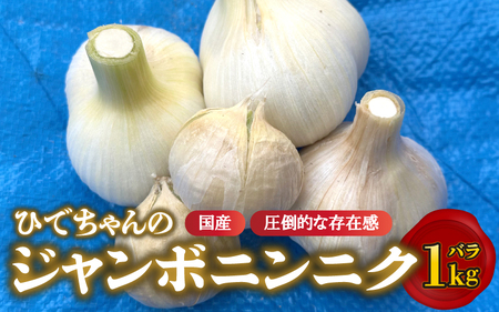 ys\zЂł̃W{jjNioj1kg