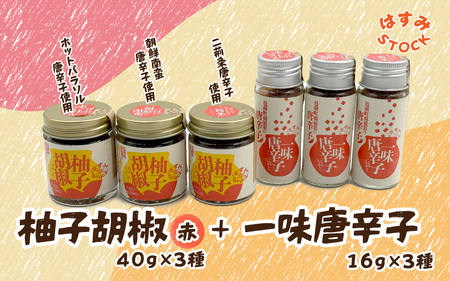 �M�q�Ӟ��i�ԁj40��×3��E�ꖡ���h�q16��?3��u�͂���STOCK�i���Ƃ����j�v