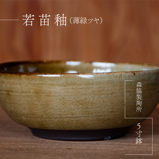 5寸鉢 : 若苗釉(薄緑ツヤ)