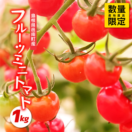 先行予約 数量限定!!うす皮 薄皮 フルーツミニトマト「華の妖精」1kg