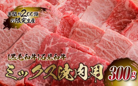 石見和牛　ミックス焼肉用　300g