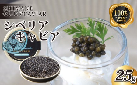 LrAuVxAv25g