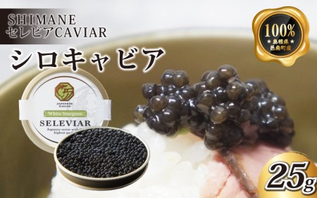 LrAuVv25g