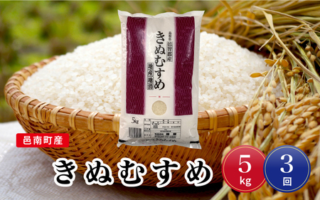 【定期便3回】令和5年産！邑南町産きぬむすめ5kg