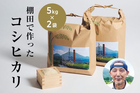 R̗Nƒӂ̊g񂾒Ic̊Á`āuRVqJv(5kg×2)(ߘa7NY)y1524992z