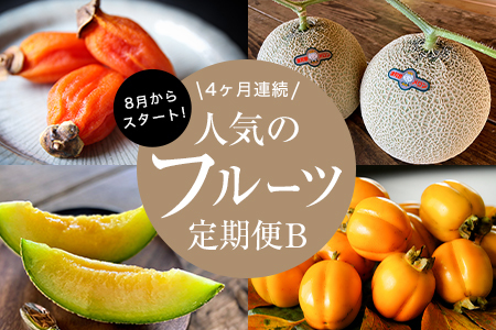 [発送月固定定期便]フルーツ定期便B 旬の美味しい果物を毎月1種 全4回[配送不可地域:離島]