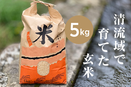 RԂ̐񂾓cڂōuʂނߌāv5kg(ߘa7N)y1573255z