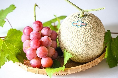 メロン2L1玉クインニーナ1房セット[2026年9月より順次発送]