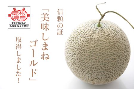 メロンパークの赤肉メロン[2026年9月より順次発送・2Lサイズ1玉]