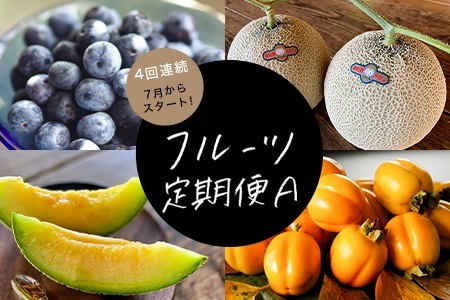 yŒցzt[cA {̔ʕ𖈌1S4yzsnFzy4014614z