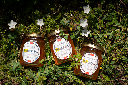[希少品]自然のまま2年熟成させた100%天然の生はちみつ 160g×3個