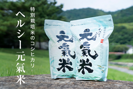 高津川の恵み 特別栽培米ヘルシー元氣米2kg×2袋(4kg)(令和3年産)【1209634】