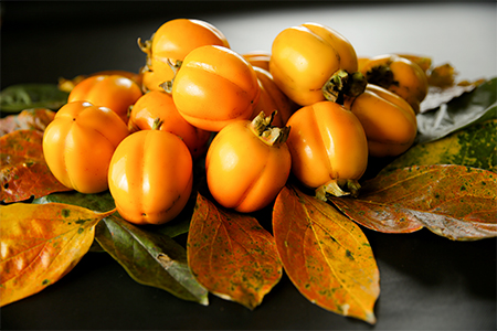 yL@JASF؁zI[KjbN킹`5kgy1304598z