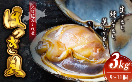 北海道苫小牧産 ほっき貝 3kg(9〜11個) T032-001 魚介類 水産 食品 人気 おすすめ 送料無料