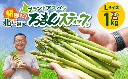 ロマンス農園 ろまんスティック Lサイズ 1kg T049-001 アスパラガス 野菜 やさい 旨味 うま味 新鮮 やわらかい みずみずしい 糖度 天ぷら グリル ベジタブル ふるさと納税 北海道 苫小牧市 おすすめ ランキング プレゼント ギフト