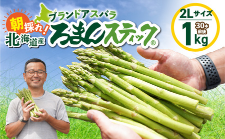 ロマンス農園 ろまんスティック 2Lサイズ 1kg T049-005 野菜