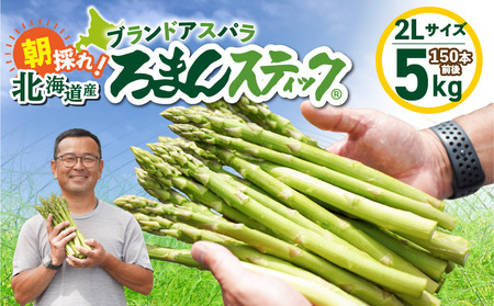 ロマンス農園 ろまんスティック 2Lサイズ 5kg T049-007 野菜