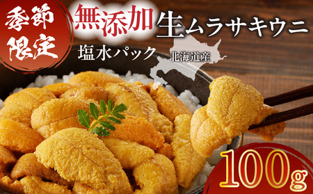無添加 生 ムラサキウニ 塩水 パック 100g T032-004 生ムラサキウニ うに うに ウニ 雲丹 海産物 季節限定 生食用 北海道産 塩水パック さっぱり旨味 甘味 贅沢 カルパッチョ ちらし寿司 美味しい 新鮮 丸恭水産 ふるさと納税 北海道 苫小牧市 おすすめ ランキング プレゼント ギフト