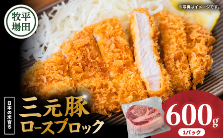 [ 平田牧場 ] 三元豚 ロース ブロック 600g T036-014 肉 お肉 にく 豚 豚肉 ブタ ぶた ロースブロック 黒豚 バークシャー種 特別品種 便利 パック おかず 夕食 美味しい おいしい ジューシー ふるさと納税 北海道 苫小牧市 おすすめ ランキング プレゼント ギフト