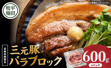 [ 平田牧場] 三元豚 バラ ブロック 600g T036-015 肉 お肉 にく 豚 豚肉 ブタ ぶた バラブロック 豚バラ 黒豚 バークシャー種 特別品種 便利 パック おかず 夕食 美味しい おいしい ジューシー 平田牧場 ふるさと納税 北海道 苫小牧市 おすすめ ランキング プレゼント ギフト