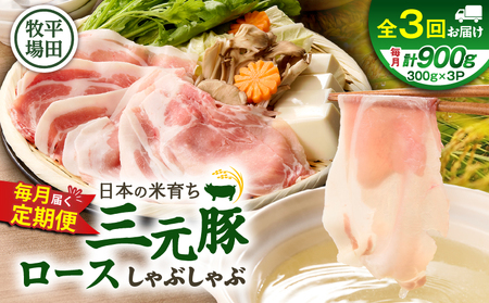 [ 全3回 毎月 定期便 ]日本 の 米育ち 平田牧場 三元豚 ロース しゃぶしゃぶ T036-T01-01 肉 豚肉