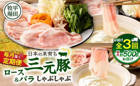 [ 全3回 毎月 定期便 ] 日本 の 米育ち 平田牧場 三元豚 ロース 250g ・ バラ しゃぶしゃぶ ロース 250g T036-T02-01 定期 肉 お肉 にく 豚 豚肉 ブタ ぶた 鍋 お鍋 黒豚 冷凍 バークシャー種 特別品種 便利 パック おかず 夕食 美味しい おいしい ジューシー ふるさと納税 北海道 苫小牧市 おすすめ ランキング プレゼント ギフト