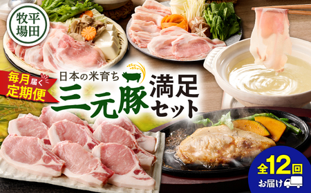 【 全12回 毎月 定期便 】 日本 の 米育ち 平田牧場 の 満足セット ！ T036-T05-03 肉 豚肉