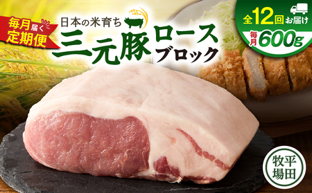 【 全12回 毎月 定期便 】 日本 の 米育ち 平田牧場 三元豚 ロース ブロック 600g T036-T06-03 肉 豚肉
