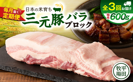 [ 全3回 毎月 定期便 ] 日本 の 米育ち 平田牧場 三元豚 バラ ブロック 600g T036-T08-01 定期 肉 お肉 にく 豚 豚肉 ブタ ぶた 豚の角煮 角煮 焼豚 厚切りソテー 黒豚 冷凍 バークシャー種 特別品種 便利 パック おかず 夕食 美味しい おいしい ジューシー ふるさと納税 北海道 苫小牧市 おすすめ ランキング プレゼント ギフト