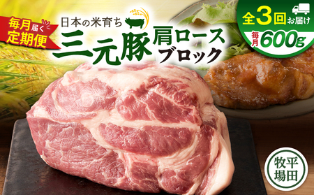 [ 全3回 毎月 定期便 ] 日本 の 米育ち 平田牧場 三元豚 肩ロース ブロック 600g T036-T10-01 定期 肉 お肉 にく 豚 豚肉 ブタ ぶた 生姜焼き トマト煮 黒豚 冷凍 バークシャー種 特別品種 便利 パック おかず 夕食 美味しい おいしい ジューシー ふるさと納税 北海道 苫小牧市 おすすめ ランキング プレゼント ギフト