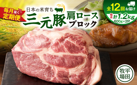 [全12回 毎月定期便]日本の米育ち 平田牧場 三元豚 肩ロースブロック 1.2kg T036-T11-03 定期 肉 お肉 にく 豚 豚肉 ブタ ぶた 生姜焼き トマト煮 黒豚 冷凍 バークシャー種 特別品種 便利 パック おかず 夕食 美味しい おいしい ジューシー ふるさと納税 北海道 苫小牧市 おすすめ ランキング プレゼント ギフト
