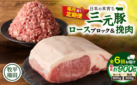 【 全6回 毎月 定期便 】 日本 の 米育ち 平田牧場 三元豚ロース ブロック 600g ・ 三元豚挽肉 300g T036-T13-02 肉 豚肉