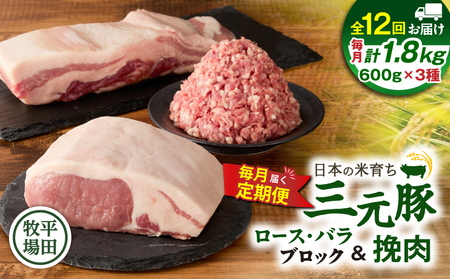 [ 全12回 毎月 定期便 ] 日本 の 米育ち 平田牧場 三元豚バラブロック 600g ・ 豚ロースブロック 600g ・ 豚挽肉 T036-T15-03 定期 肉 お肉 にく 豚 豚肉 ブタ ぶた とんかつ 焼豚 ハンバーグ そぼろ 黒豚 冷凍 バークシャー種 特別品種 便利 パック おかず 夕食 美味しい おいしい ジューシー ふるさと納税 北海道 苫小牧市 おすすめ ランキング プレゼント ギフト