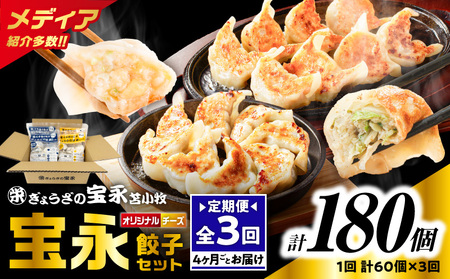 [ 全3回 定期便 ( 4ヶ月毎 ) ] チーズ 餃子 セット ( 宝永餃子 15個入 × 2袋 & チーズ餃子 15個入 × 2袋 ) 合計1.5kg T004-T02-01 定期 惣菜 総菜