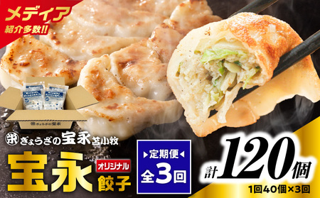 【 全3回 定期便 （ 毎月 ） 】 宝永 餃子 10個入 セット （ 宝永餃子 10個入 × 4袋 ） 合計 1.0kg T004-T03-02 惣菜 総菜 加工食品