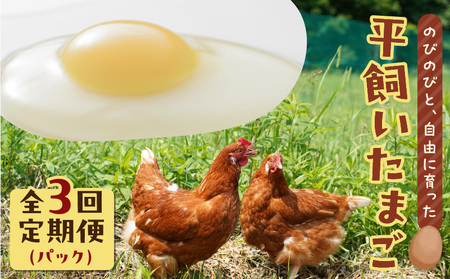 �y �S3�� ����� �z ������ ���܂� T074-T01-01 ��� �� �^�}�S �G�b�O �������� ���������͂� HokkaidoGreenCompany �ӂ邳�Ɣ[�� �k�C�� �Ϗ��q�s �������� �����L���O �v���[���g �M�t�g