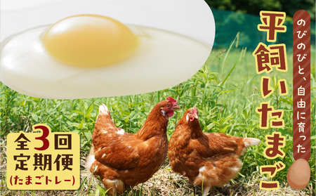 �y �S3�� ����� �z ������ ���܂� �i ���܂��g���[ �j T074-T01-02 ��� �� �^�}�S �G�b�O �������� ���������͂� HokkaidoGreenCompany �ӂ邳�Ɣ[�� �k�C�� �Ϗ��q�s �������� �����L���O �v���[���g