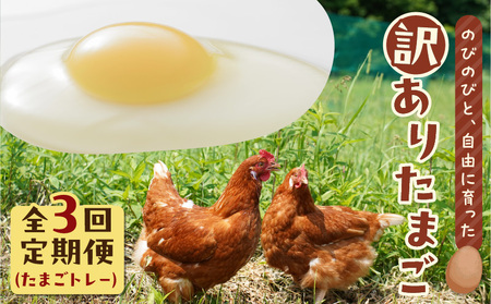 �y �S3�� ����� �z �󂠂� ���܂� �i ���܂��g���[ �j T074-T02 ��� �󂠂藑 �� �^�}�S �������� ���������͂� HokkaidoGreenCompany �ӂ邳�Ɣ[�� �k�C�� �Ϗ��q�s �������� �����L���O �v���[���g