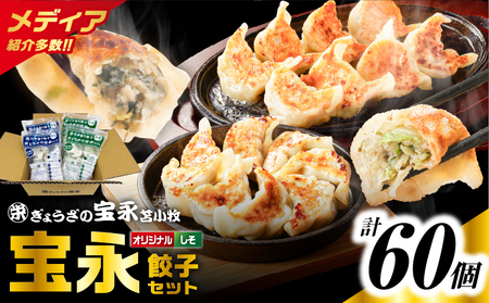 ぎょうざ の 宝永 しそ餃子セット( 宝永餃子 15個入×2袋 & しそ餃子 15個入×2袋 )合計1.5kg T004-004 惣菜 総菜 ギョウザ 餃子