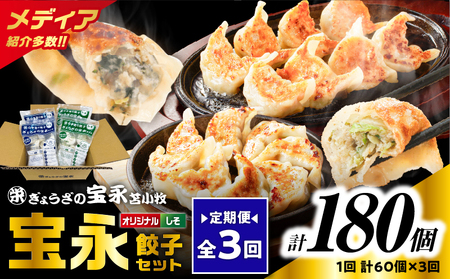 【 全3回 定期便（毎月）】ぎょうざ の 宝永 しそ餃子セット（ 宝永餃子 15個入×2袋＆ しそ餃子 15個入×2袋 ）合計1.5kg T004-T04-02 惣菜 総菜 ギョウザ 餃子 