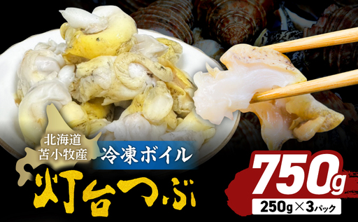 北海道苫小牧産 冷凍ボイル灯台つぶ(3パック入) T020-009 灯台つぶ つぶ 刺身 炉端焼き