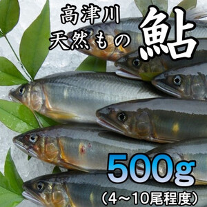 高津川天然あゆ冷凍 500g(吉賀町)[配送不可地域:離島]