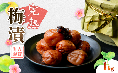 完熟梅漬 1kg