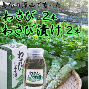 根わさび、わさび漬けセット【配送不可地域：離島】【1259756】