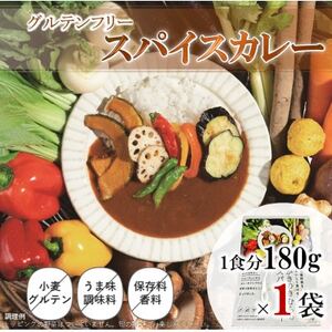 スパイスカレー レトルト 180g×1袋