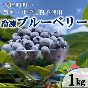 栽培期間中農薬・化学肥料不使用　吉賀町産冷凍ブルーベリー　1kg【配送不可地域：離島】【1707817】