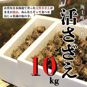 y10ȍ~zlꊈ10kgZbg  ① TUG h L CN BBQ  Ă hg o[xL[ Mtg  䒆