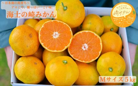 yԌzn݂̍ MTCY 5kg 50 Ԍ 11{蔭Jn