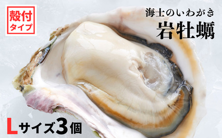 【海士のいわがき】殻付き Lサイズ 3個 岩牡蠣 生食可 新鮮クリーミー 冷凍 牡蛎 牡蠣 かき カキ 岩牡蠣 いわがき CAS CAS冷凍 父の日 母の日 バーベキュー ギフト